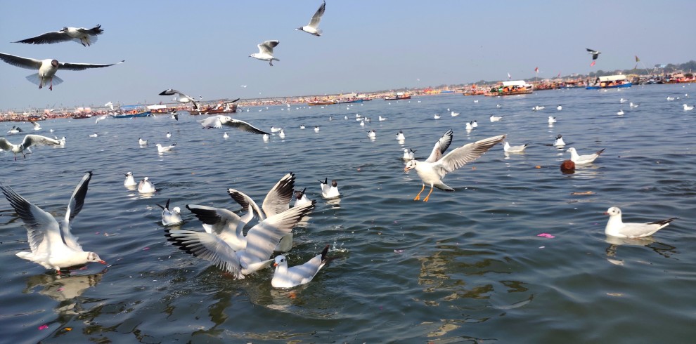 Triveni Sangam 6