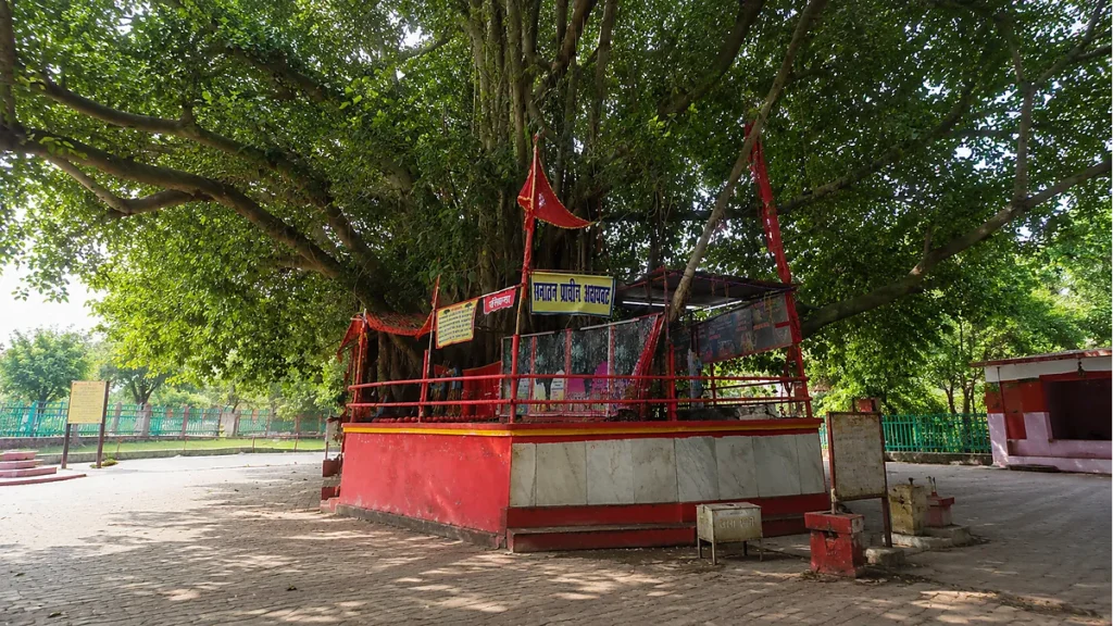 Akshayavat the sacred indestructible banyan tree inside Allahabad Fort Prayagraj
