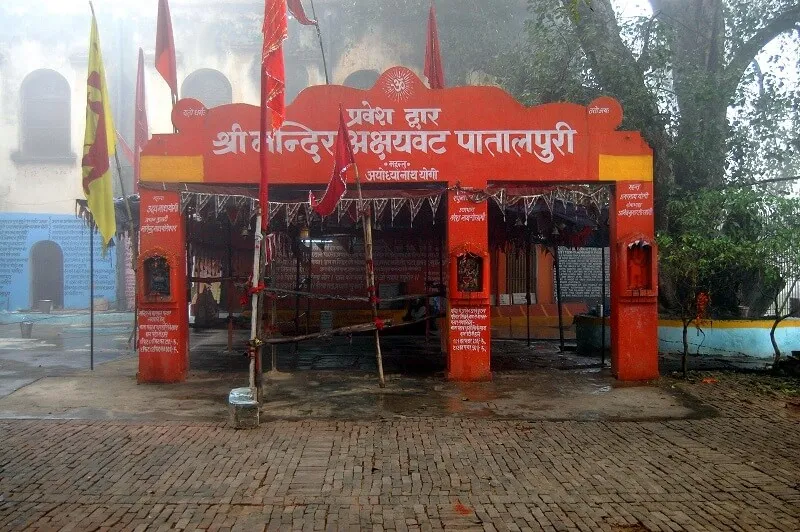 Akshaya vat-Tree-Prayagraj