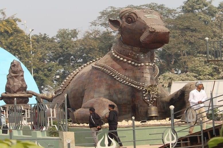 One day tour package